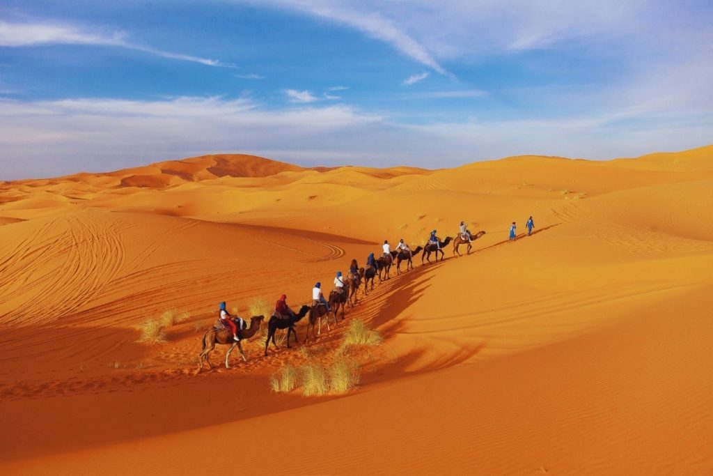 A camel caravan crossing the Sahara desert at sunset – perfect for your Morocco travel itinerary.
